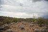 36325 S Scenic Loop Rd photo